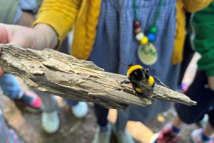 Fischbeker ForscherZwerge