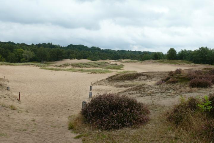 Boberger ForscherZwerge