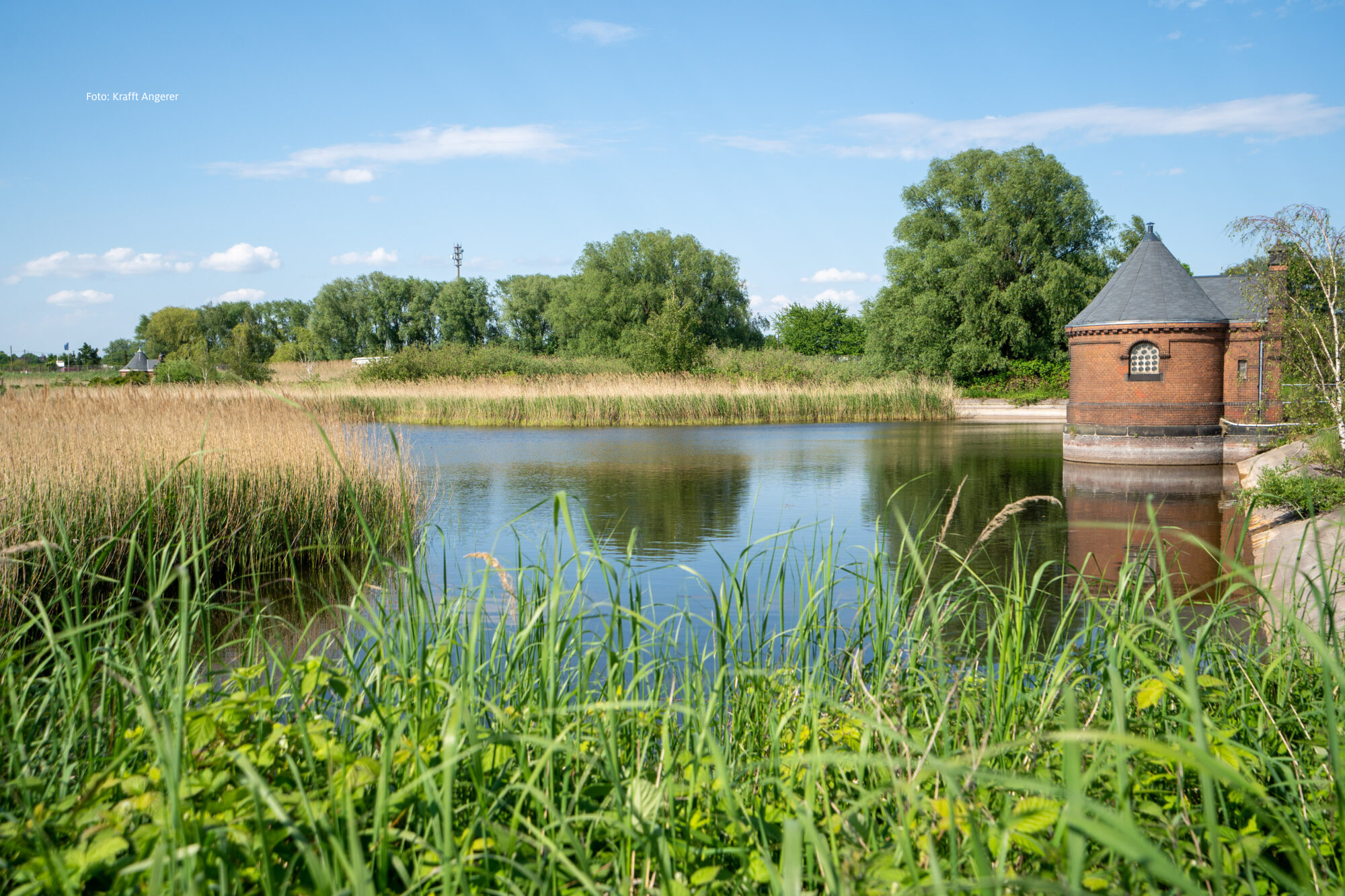 Wasserkunst: Aus der Elbe ins Glas